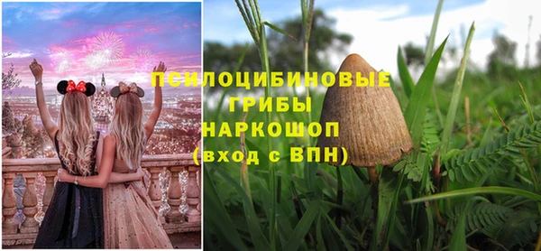 МДПВ Абинск