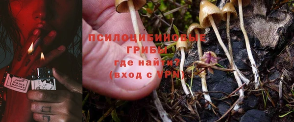 МДПВ Абинск