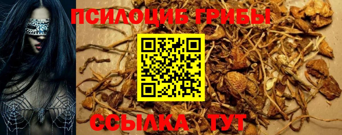 Лиски  Псилоцибиновые грибы Magic Shrooms  Вход с VPN  Галлюциногенные грибы MAGIC MUSHROOMS 